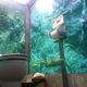 Image for article titled The Most Amazing Places to Pee and Poop in Japan